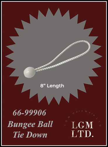 66 99906 Product
